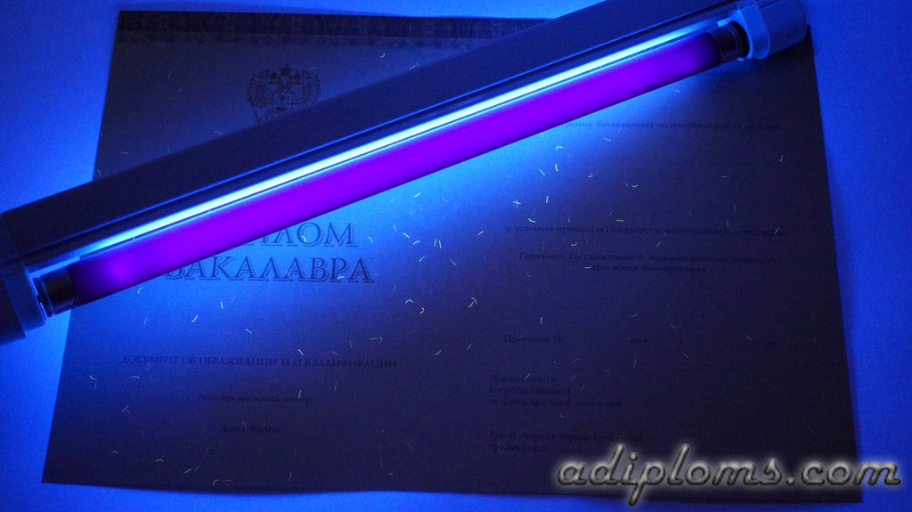 Диплом бакалавра 2014-2026 Фото